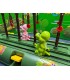 بازی مسابقه دایناسورهای گیلاس خور Fun Contest