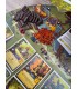 بازی ایرانی اوردل Everdell