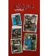 بازی معمایی پرونده محرمانه لس آنجلس Silver Screen Sleuths