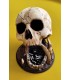 برج تاس مدل اسکلت جمجمه Dice Tower Skull