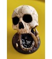 برج تاس مدل اسکلت جمجمه Dice Tower Skull