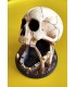 برج تاس مدل اسکلت جمجمه Dice Tower Skull