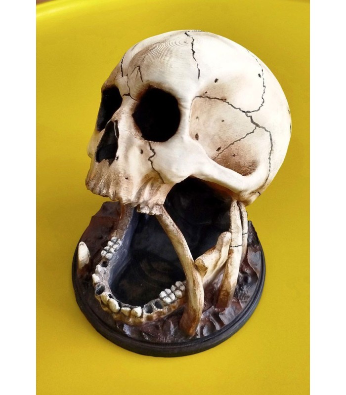 برج تاس مدل اسکلت جمجمه Dice Tower Skull
