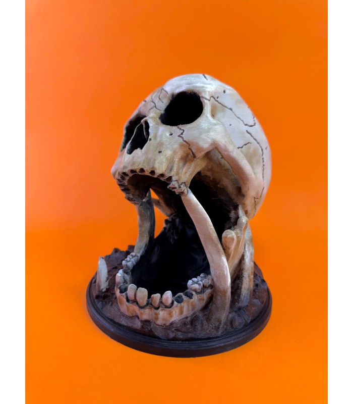 برج تاس مدل اسکلت جمجمه Dice Tower Skull