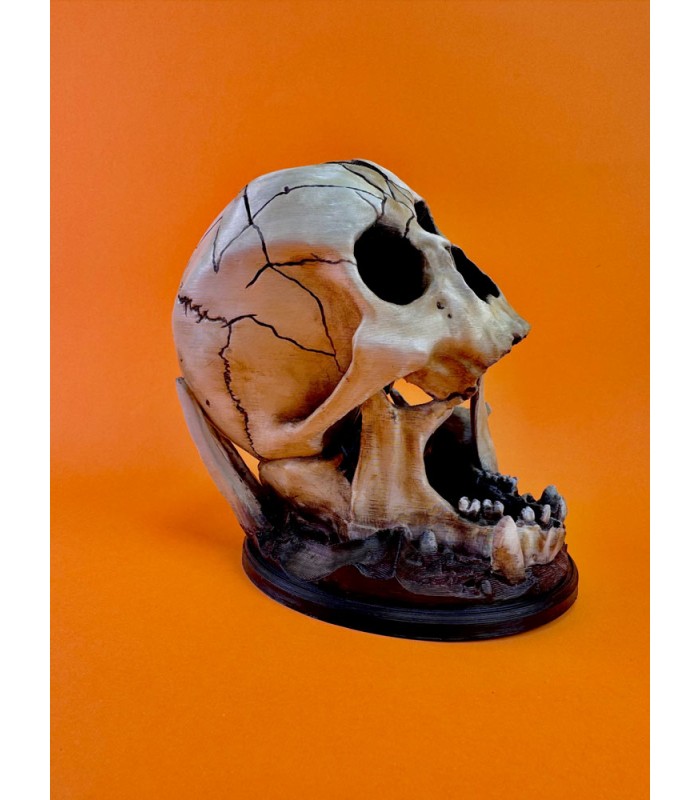 برج تاس مدل اسکلت جمجمه Dice Tower Skull
