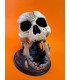 برج تاس مدل اسکلت جمجمه Dice Tower Skull