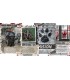 Dead of Winter: Warring Colonies