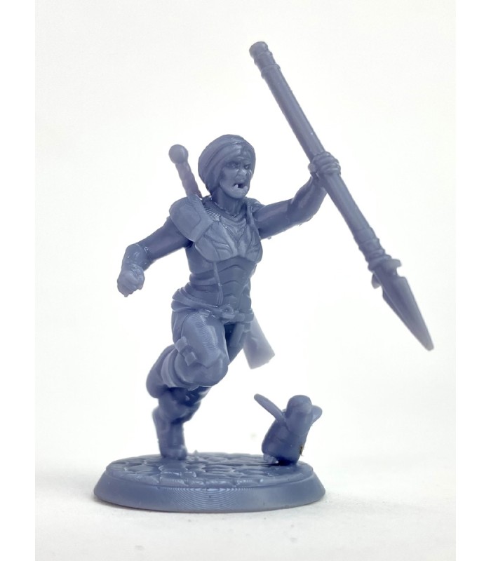 فیگور دنیای دانجنز بسته پیش آهنگ بسته دوم Dungeons & Dragons Pathfinder Pack2