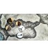بازی نقش آفرینی دانجنز اند دراگنز تیرهای گابلینی Dungeons & Dragons