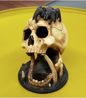 برج تاس مدل اسکلت جمجمه مدل رتیل Dice Tower Skull