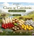 پک آپگرید بازی خاندان های کلدونیا Clans of Caledonia Upgrade Pack