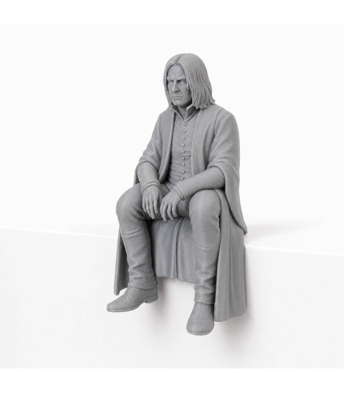 فیگور مجسمه های فانتزی نشسته هری پاتر Seated Figures Harry Potter