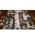 زامبی طاعون سیاه (Zombicide: Black Plague)