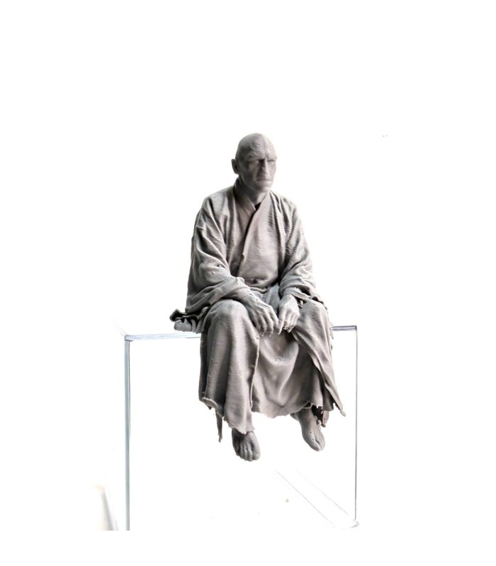 فیگور مجسمه های فانتزی نشسته هری پاتر Seated Figures Harry Potter
