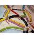 بلیت حرکت: نسخه آسیا (Ticket to Ride: Team Asia)