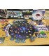پولسار 2849 (Pulsar 2849)