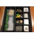 Caverna: Cave vs Cave