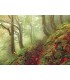 پازل 1000 تکه (Magic Forests Path)