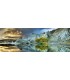 پازل 1000 تکه (Blue Lake)