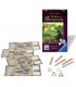 قلعه های برگاندی نسخه تاسی (The Castles of Burgundy: the Dice game)