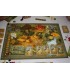عصر حجر: توسعه دهنده (Stone Age: The Expansion)