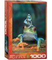 پازل 1000 تکه Red Eye Tree Frog