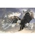پازل  500تکه Black and White