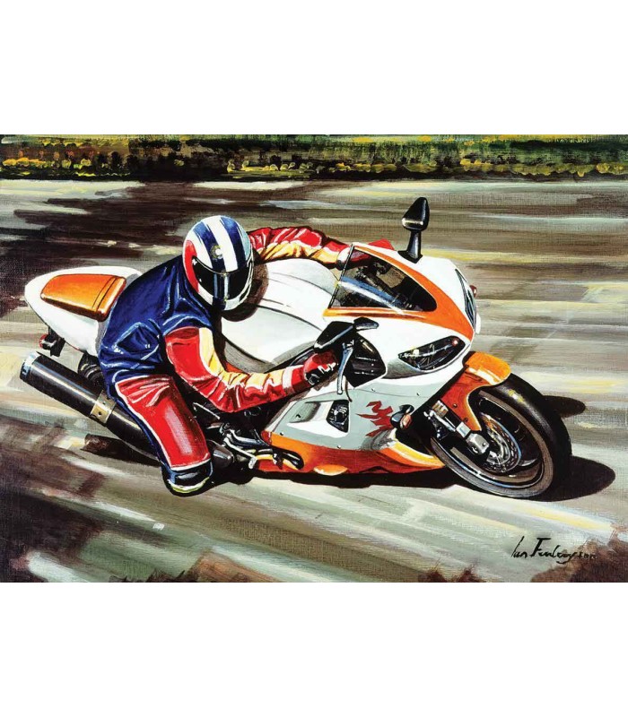 پازل  500 تکه Speed