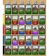 شهر تاس ها (Dice City)