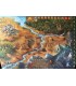 افسانه های اندور (Legends of Andor)