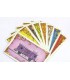 بلیت حرکت (Ticket to Ride)