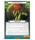 برخورد کیهانی (Cosmic Encounter)